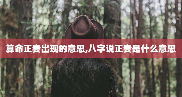 算命正妻出现的意思,八字说正妻是什么意思