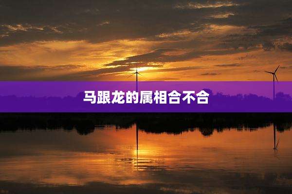 马跟龙的属相合不合
