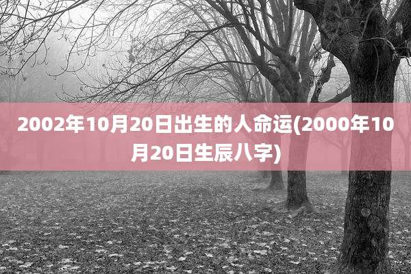 2002年10月20日出生的人命运(2000年10月20日生辰八字)