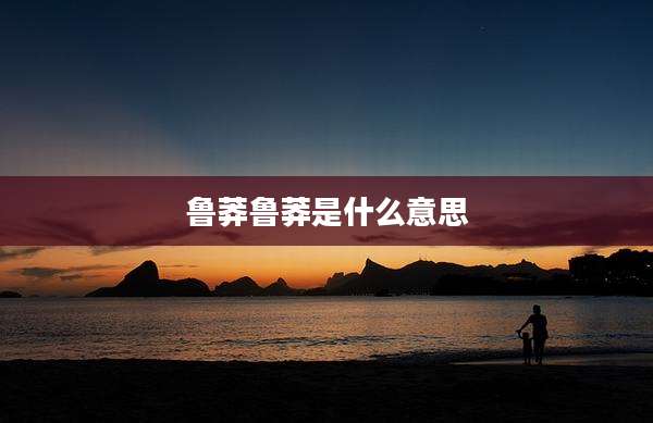 鲁莽鲁莽是什么意思