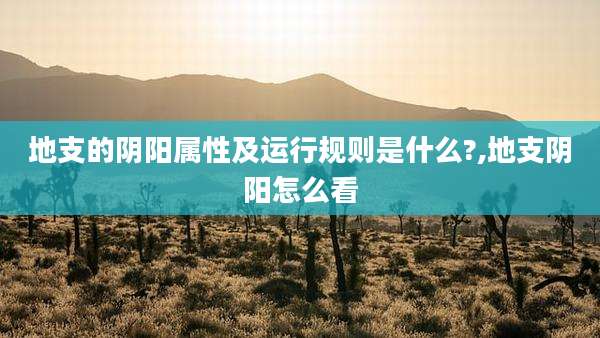 地支的阴阳属性及运行规则是什么?,地支阴阳怎么看