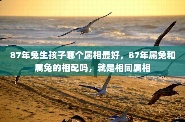 87年兔生孩子哪个属相最好，87年属兔和属兔的相配吗，就是相同属相