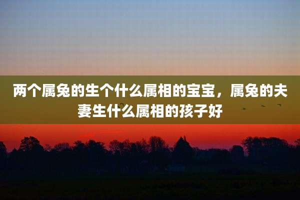 两个属兔的生个什么属相的宝宝，属兔的夫妻生什么属相的孩子好