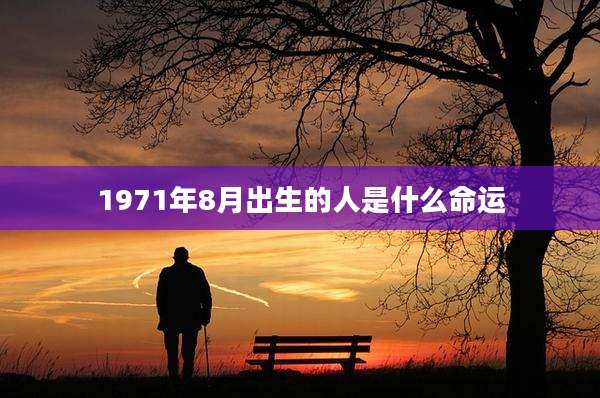 1971年8月出生的人是什么命运