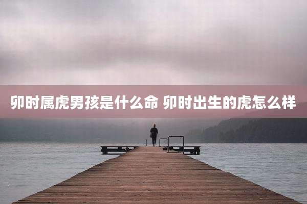 卯时属虎男孩是什么命 卯时出生的虎怎么样