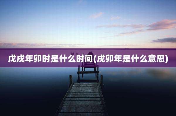 戊戌年卯时是什么时间(戌卯年是什么意思)