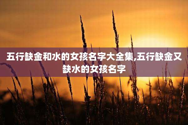 五行缺金和水的女孩名字大全集,五行缺金又缺水的女孩名字