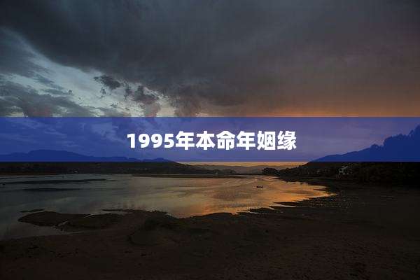1995年本命年姻缘