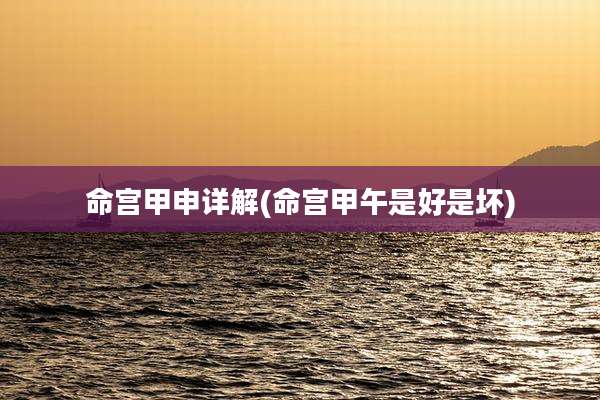 命宫甲申详解(命宫甲午是好是坏)