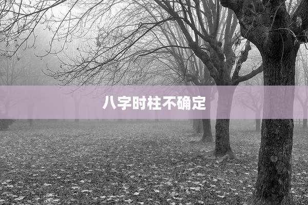 八字时柱不确定