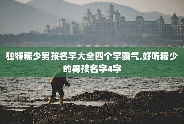 独特稀少男孩名字大全四个字霸气,好听稀少的男孩名字4字
