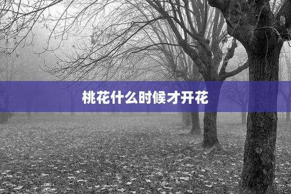 桃花什么时候才开花