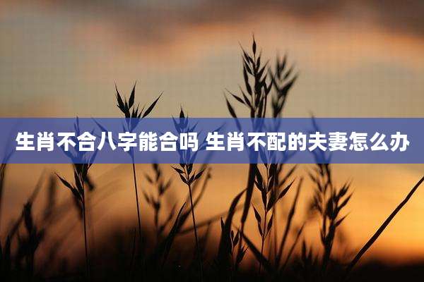 生肖不合八字能合吗 生肖不配的夫妻怎么办