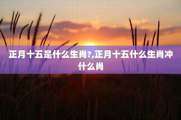 正月十五是什么生肖?,正月十五什么生肖冲什么肖