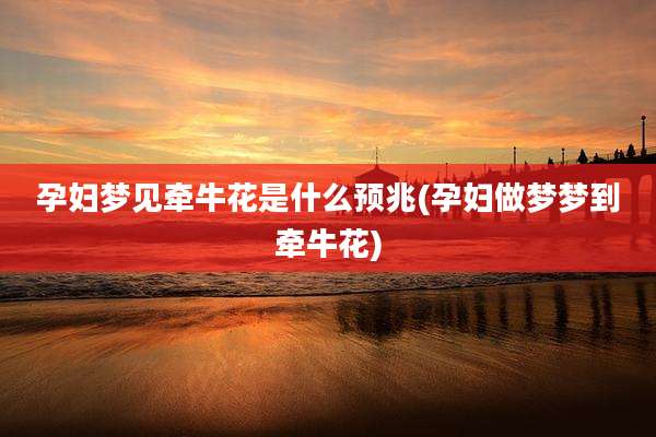 孕妇梦见牵牛花是什么预兆(孕妇做梦梦到牵牛花)