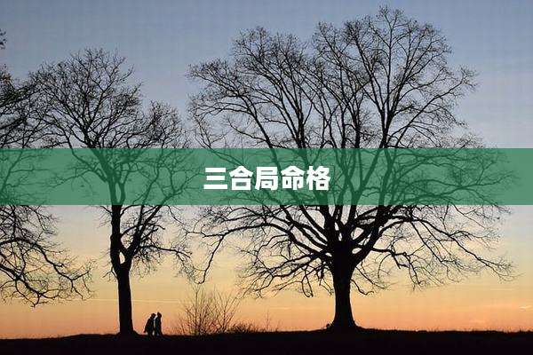 三合局命格