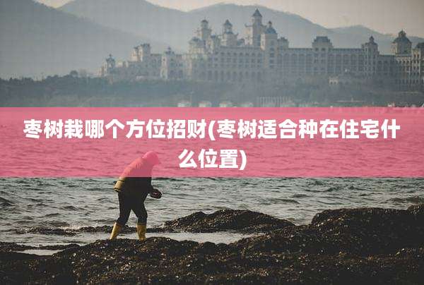 枣树栽哪个方位招财(枣树适合种在住宅什么位置)