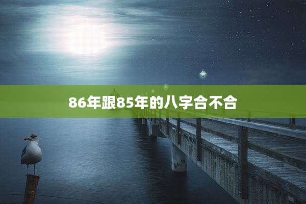86年跟85年的八字合不合
