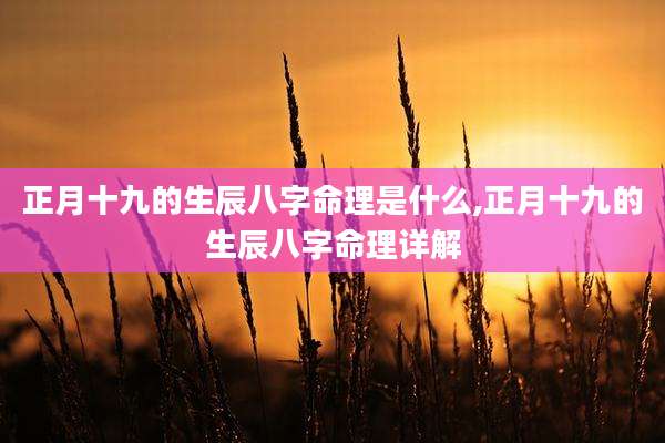 正月十九的生辰八字命理是什么,正月十九的生辰八字命理详解
