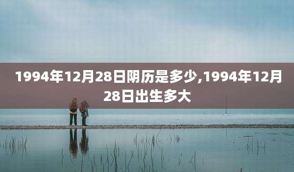 1994年12月28日阴历是多少,1994年12月28日出生多大