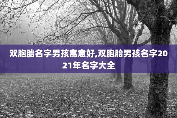 双胞胎名字男孩寓意好,双胞胎男孩名字2021年名字大全