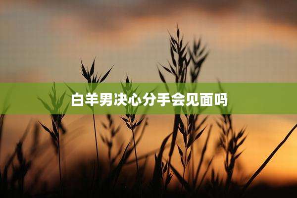 白羊男决心分手会见面吗