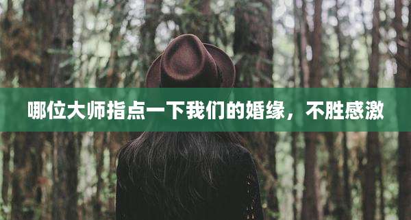 哪位大师指点一下我们的婚缘,不胜感激