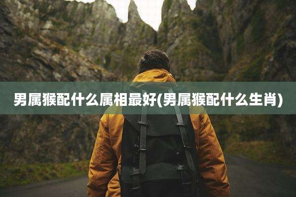男属猴配什么属相最好(男属猴配什么生肖)
