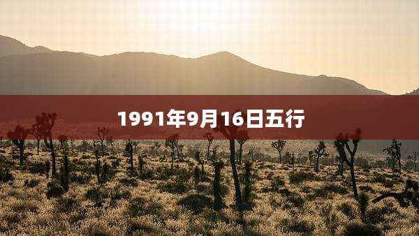 1991年9月16日五行