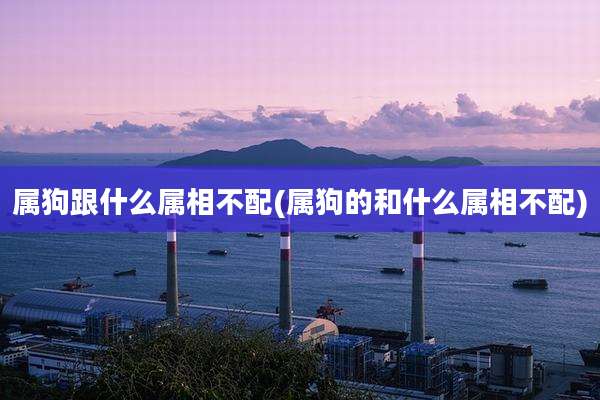 属狗跟什么属相不配(属狗的和什么属相不配)