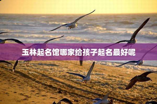 玉林起名馆哪家给孩子起名最好呢