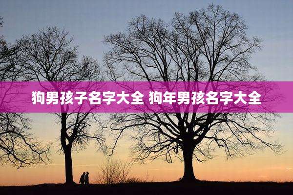 狗男孩子名字大全 狗年男孩名字大全