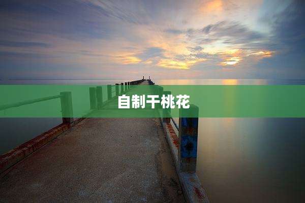自制干桃花