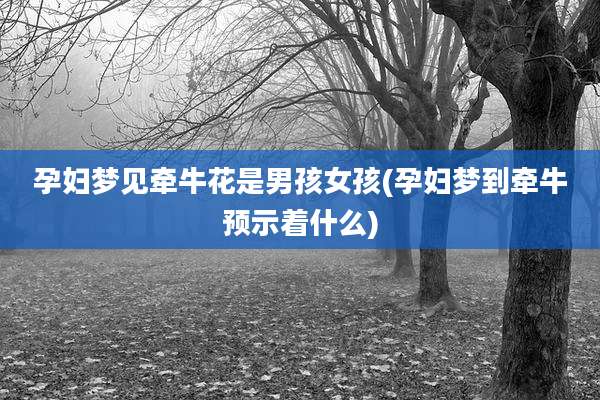 孕妇梦见牵牛花是男孩女孩(孕妇梦到牵牛预示着什么)
