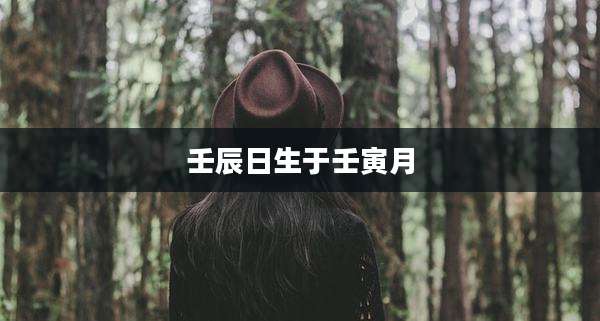 壬辰日生于壬寅月