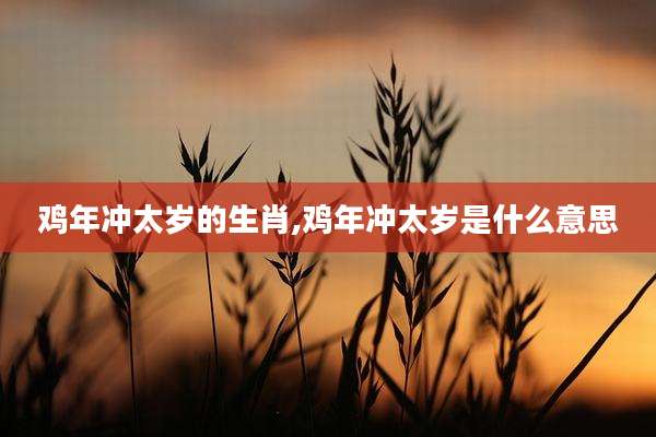 鸡年冲太岁的生肖,鸡年冲太岁是什么意思