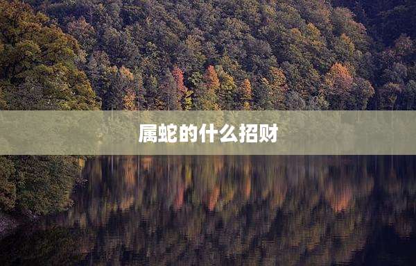 属蛇的什么招财