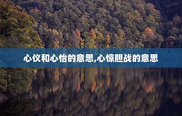心仪和心怡的意思,心惊胆战的意思