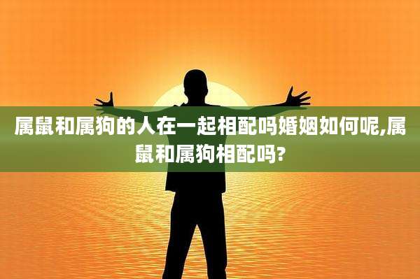 属鼠和属狗的人在一起相配吗婚姻如何呢,属鼠和属狗相配吗?