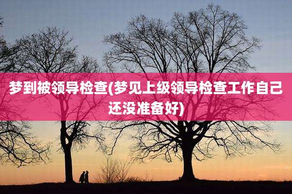 梦到被领导检查(梦见上级领导检查工作自己还没准备好)