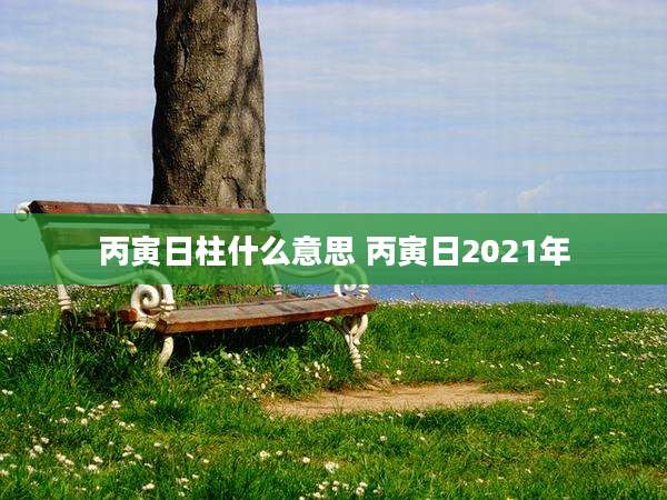 丙寅日柱什么意思 丙寅日2021年