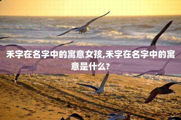 禾字在名字中的寓意女孩,禾字在名字中的寓意是什么?