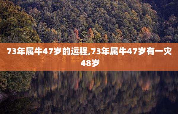 73年属牛47岁的运程,73年属牛47岁有一灾 48岁