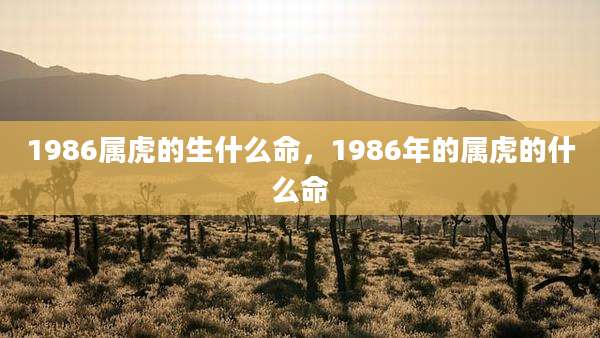 1986属虎的生什么命，1986年的属虎的什么命