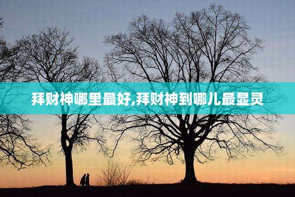拜财神哪里最好,拜财神到哪儿最显灵
