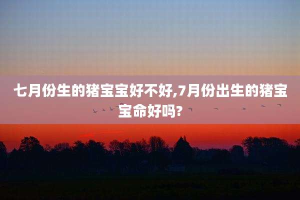 七月份生的猪宝宝好不好,7月份出生的猪宝宝命好吗?