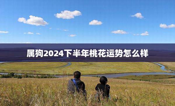 属狗2024下半年桃花运势怎么样