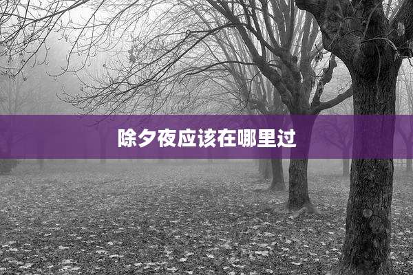 除夕夜应该在哪里过