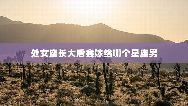 处女座长大后会嫁给哪个星座男