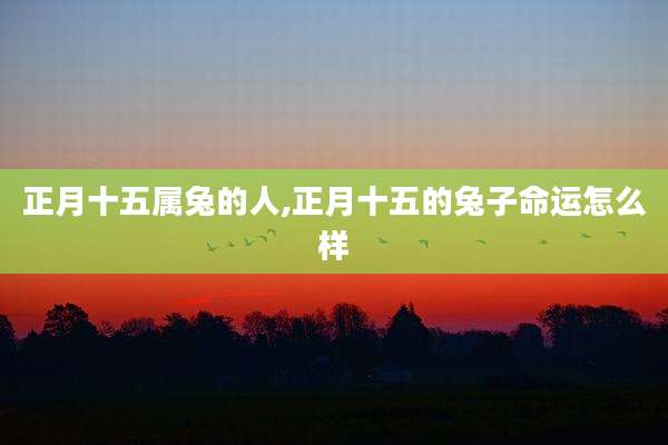 正月十五属兔的人,正月十五的兔子命运怎么样